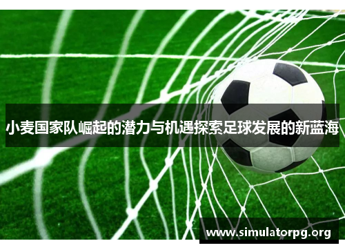 小麦国家队崛起的潜力与机遇探索足球发展的新蓝海