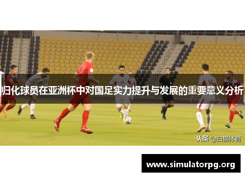 归化球员在亚洲杯中对国足实力提升与发展的重要意义分析 归化球员在亚洲杯中对国足实力提升与发展的重要意义分析