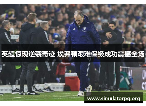 英超惊现逆袭奇迹 埃弗顿艰难保级成功震撼全场