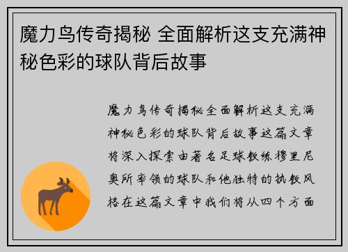 魔力鸟传奇揭秘 全面解析这支充满神秘色彩的球队背后故事